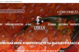 Разработка сайта на Wordpress, дизайн и настройка.