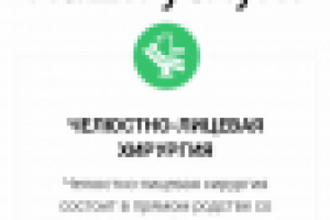 Разработка мобильной версии