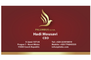 Разработка визитки и логотипа