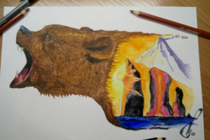 Камчатские виды