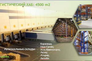 Работа 3925062