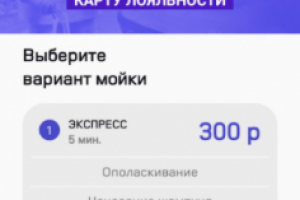 Программа "CarWash"