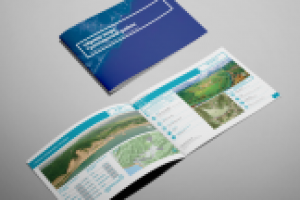 каталог РЕГНУМ-РЕГИОН