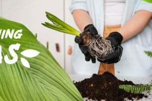 Баннер GARDENING IDEAS