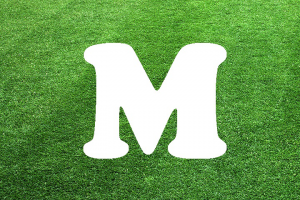 Работа 3646575