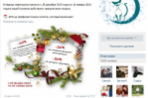 Участники в группу ВК