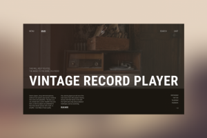 Магазин винтажных пластинок