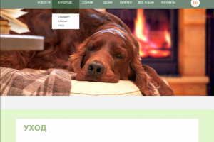 Дизайн сайта