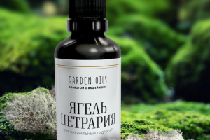 Дизайн этикетки и логотип