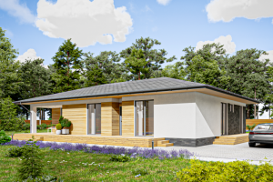 Загородный дом