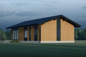 Каркасный одноэтажный дом