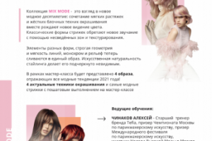 Флаер мастер-класса об окрашивании