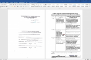 Теория и организация  государственной службы