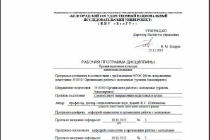 Культура молодежной организации