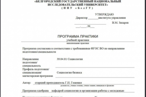 Социология бизнеса учебная практика