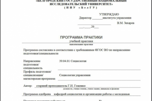 Социология управления учебная практика