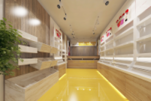 дизайн-проект магазина косметики SKINFOOD