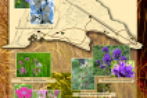 Строгино-парк. информационный щит