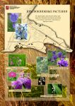 img1880446.png