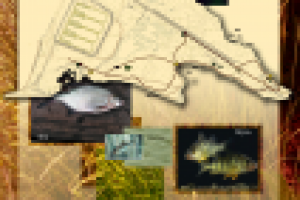 Строгино-парк. информационный щит