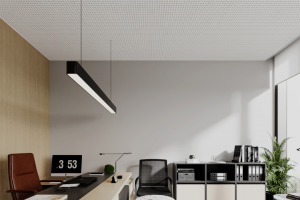 Потолок в интерьере