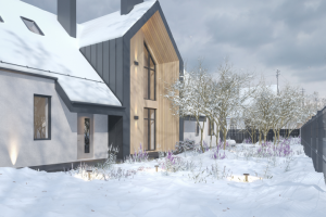 Визуализация частного дома