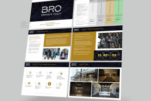 Презентация компании BRO