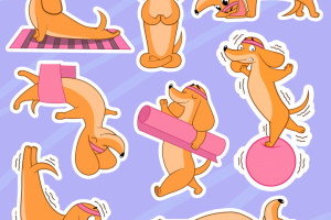 Стикеры с таксой для студии йоги