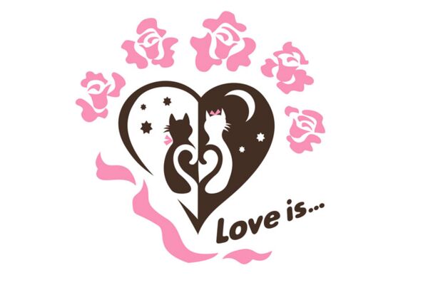 img3750775.png