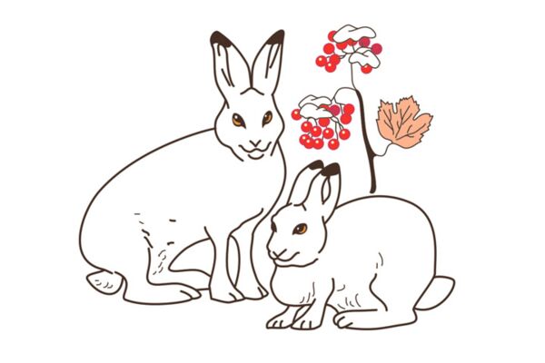 img2201340.png