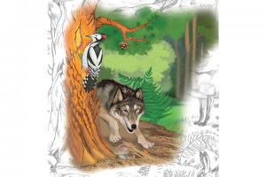 иллюстрация