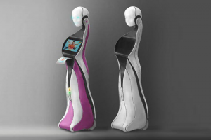 Робот доставщик