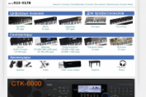 Магазин музыкальных инструментов