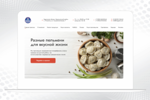 Сайт «Снежный город»