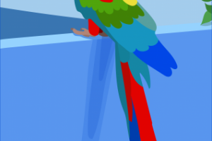 Попугай в векторе