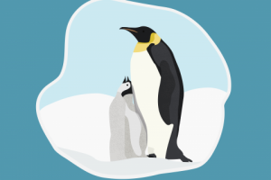 Пингвины в векторном исполнении