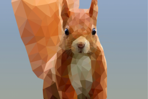 Белка в стиле Low-Poly