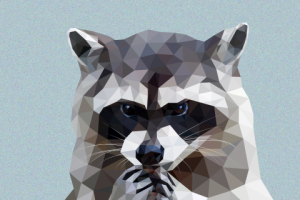 Енот в технике Low-Poly