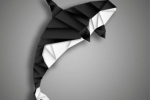 Касатка в векторном исполнении, стиль "Оригами"