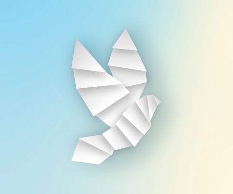 img4318856.png