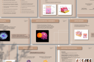 Презентация для косметолога