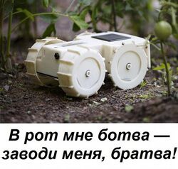 img3080474.png
