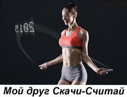 img3169320.png
