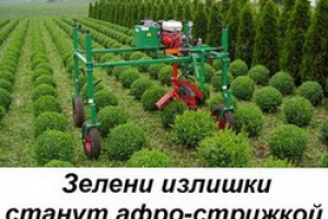 ЗАГОЛОВОК ДЛЯ СТАТЬИ О САДОВОМ ТРИММЕРЕ