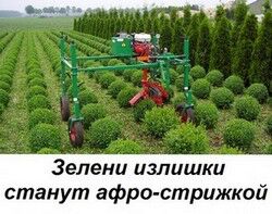 img3169421.png
