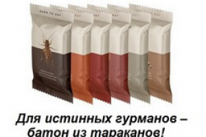 ЗАГОЛОВОК ДЛЯ СТАТЬИ О БАТОНЧИКАХ ИЗ НАСЕКОМЫХ
