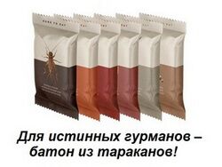 img3169318.png