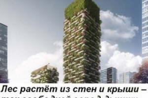 ЗАГОЛОВОК ДЛЯ СТАТЬИ О НЕБОСКРЁБАХ-САДАХ