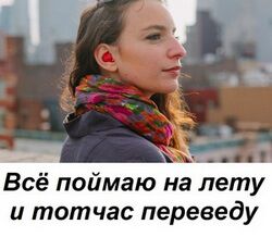 img3080522.png