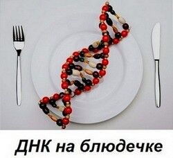 img2763141.png
